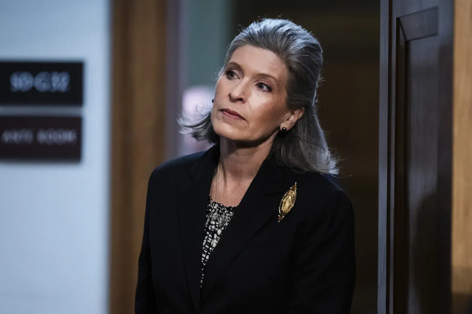 Sen. Joni Ernst Calls for Major Obamacare Overhaul: “End Fraud, Waste, and Illegal Benefits” — THE STOP OF TIMES